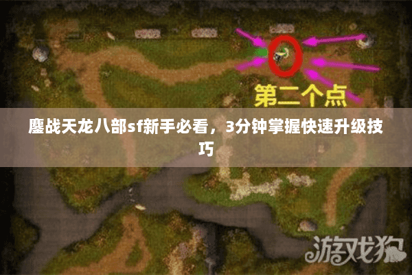 鏖战天龙八部sf新手必看，3分钟掌握快速升级技巧