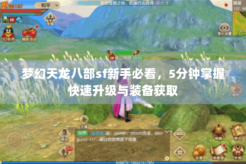 梦幻天龙八部sf新手必看，5分钟掌握快速升级与装备获取