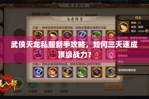 武侠天龙私服新手攻略，如何三天速成顶级战力？