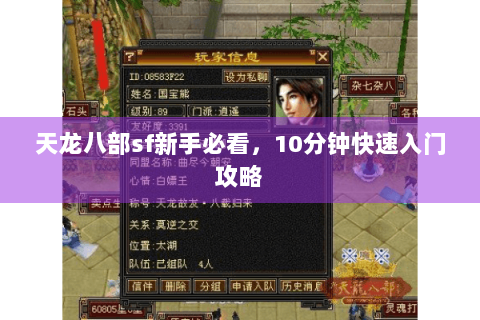 天龙八部sf新手必看，10分钟快速入门攻略