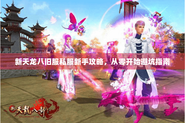 新天龙八旧服私服新手攻略，从零开始避坑指南