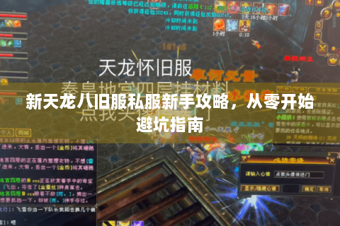 新天龙八旧服私服新手攻略，从零开始避坑指南