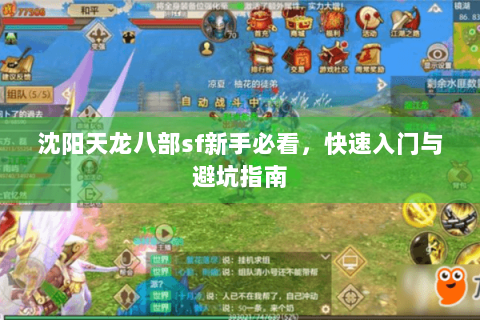 沈阳天龙八部sf新手必看，快速入门与避坑指南