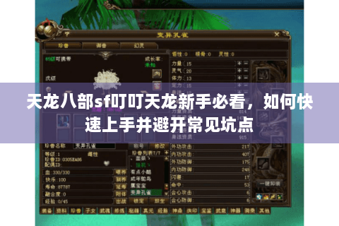 天龙八部sf叮叮天龙新手必看，如何快速上手并避开常见坑点