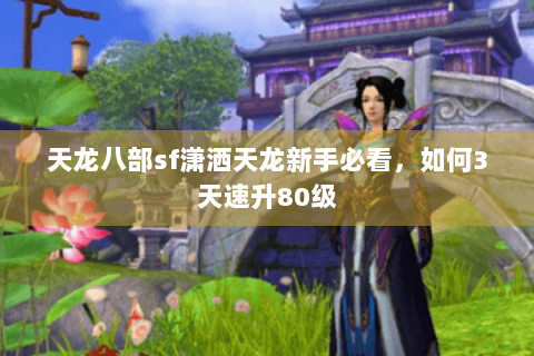 天龙八部sf潇洒天龙新手必看，如何3天速升80级