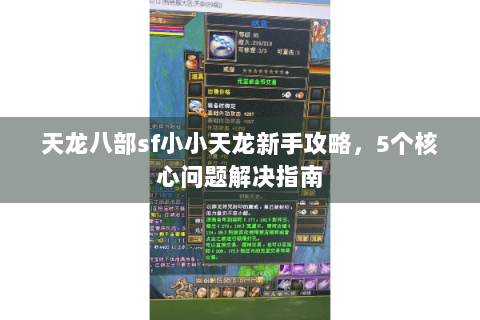 天龙八部sf小小天龙新手攻略，5个核心问题解决指南
