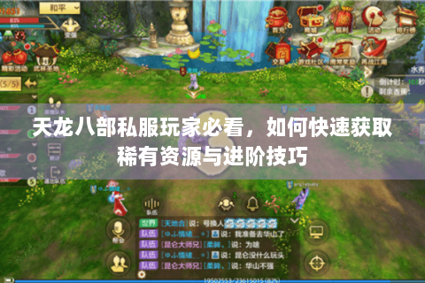 天龙八部私服玩家必看，如何快速获取稀有资源与进阶技巧