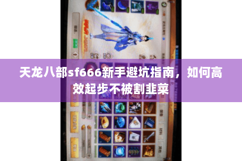 天龙八部sf666新手避坑指南，如何高效起步不被割韭菜