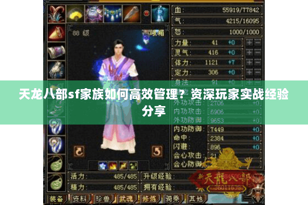 天龙八部sf家族如何高效管理？资深玩家实战经验分享