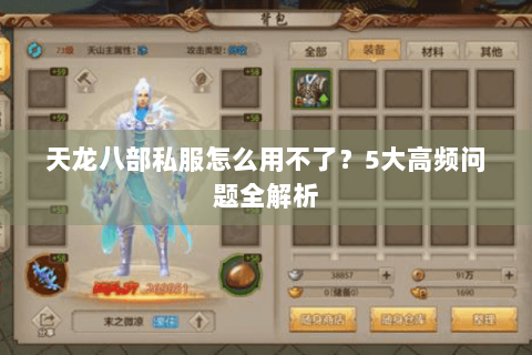 天龙八部私服怎么用不了？5大高频问题全解析