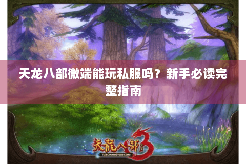 天龙八部微端能玩私服吗？新手必读完整指南