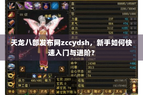 天龙八部发布网zccydsh，新手如何快速入门与进阶？
