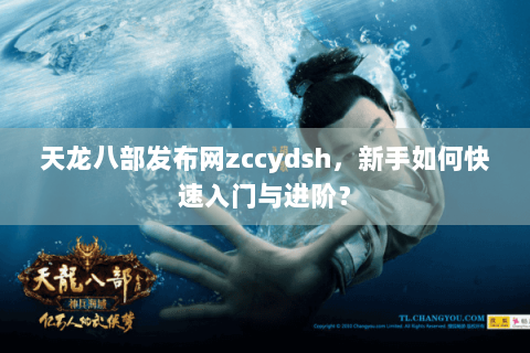 天龙八部发布网zccydsh，新手如何快速入门与进阶？