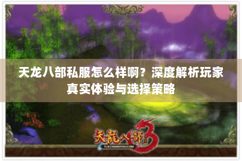 天龙八部私服怎么样啊？深度解析玩家真实体验与选择策略