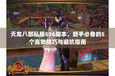 天龙八部私服556脚本，新手必备的5个高效技巧与避坑指南