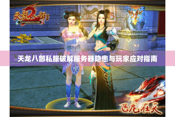 天龙八部私服破解服务器隐患与玩家应对指南