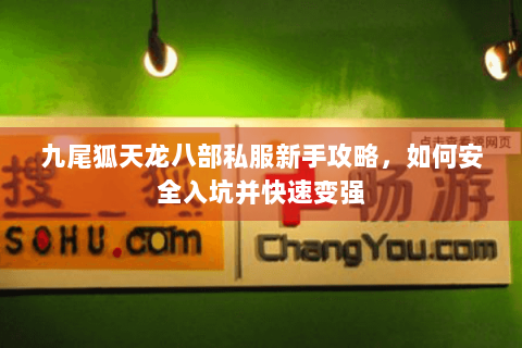 九尾狐天龙八部私服新手攻略，如何安全入坑并快速变强