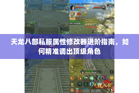 天龙八部私服属性修改器进阶指南，如何精准调出顶级角色