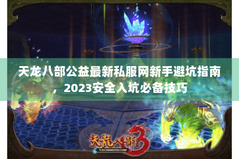 天龙八部公益最新私服网新手避坑指南，2023安全入坑必备技巧