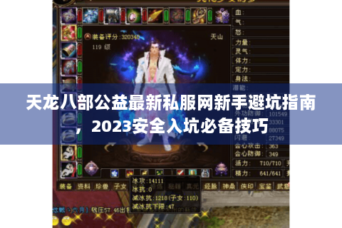 天龙八部公益最新私服网新手避坑指南，2023安全入坑必备技巧