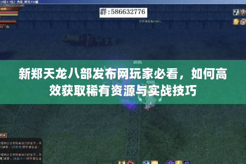新郑天龙八部发布网玩家必看，如何高效获取稀有资源与实战技巧