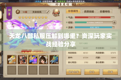 天龙八部私服压解到哪里？资深玩家实战经验分享