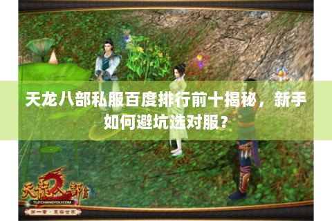 天龙八部私服百度排行前十揭秘，新手如何避坑选对服？