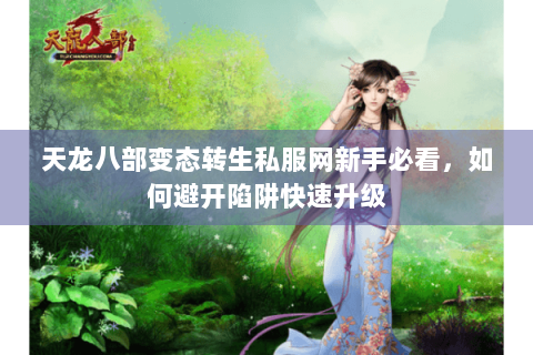 天龙八部变态转生私服网新手必看，如何避开陷阱快速升级