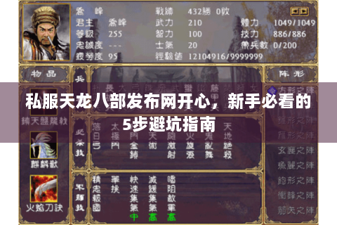 私服天龙八部发布网开心，新手必看的5步避坑指南
