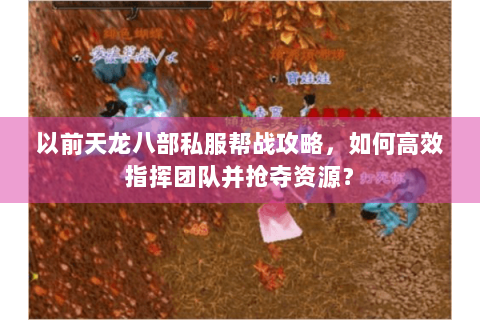 以前天龙八部私服帮战攻略，如何高效指挥团队并抢夺资源？