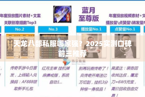 天龙八部私服哪家强？2025实测口碑前三推荐
