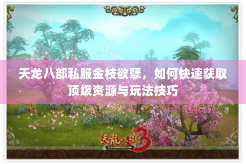 天龙八部私服金枝欲孽，如何快速获取顶级资源与玩法技巧