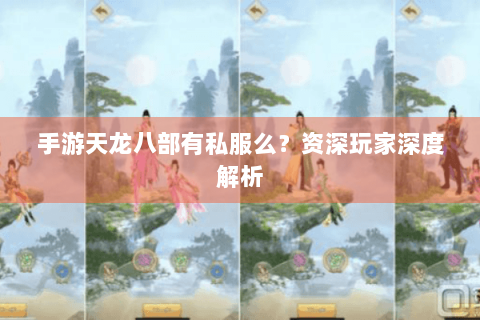 手游天龙八部有私服么？资深玩家深度解析