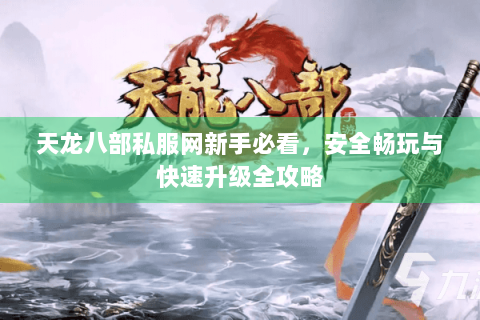 天龙八部私服网新手必看，安全畅玩与快速升级全攻略