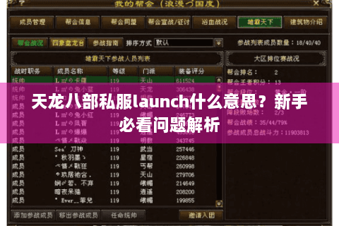 天龙八部私服launch什么意思？新手必看问题解析