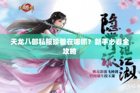 天龙八部私服珍兽在哪抓？新手必看全攻略