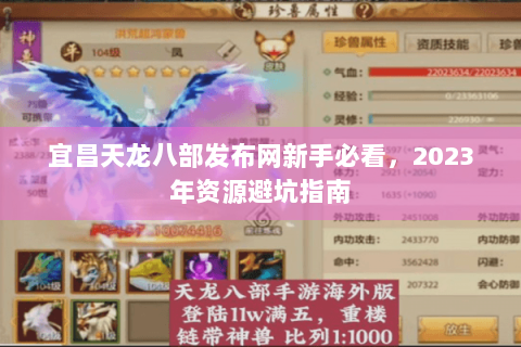 宜昌天龙八部发布网新手必看，2023年资源避坑指南