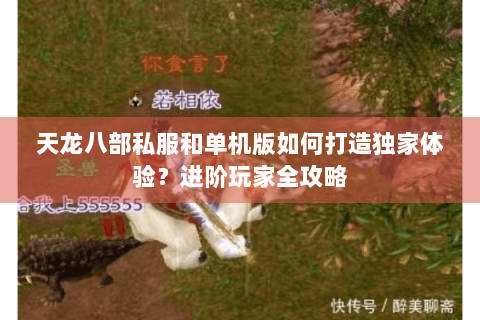 天龙八部私服和单机版如何打造独家体验？进阶玩家全攻略