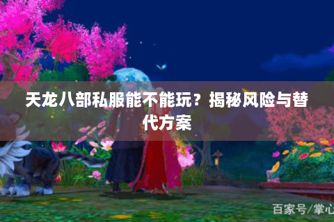 天龙八部私服能不能玩？揭秘风险与替代方案
