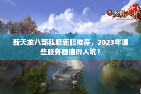 新天龙八部私服新服推荐，2023年哪些服务器值得入坑？