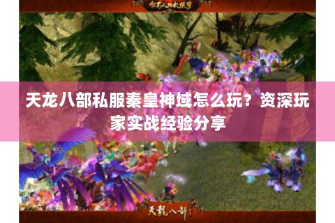 天龙八部私服秦皇神域怎么玩？资深玩家实战经验分享