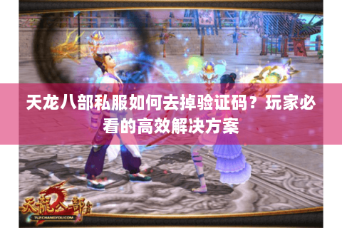 天龙八部私服如何去掉验证码？玩家必看的高效解决方案
