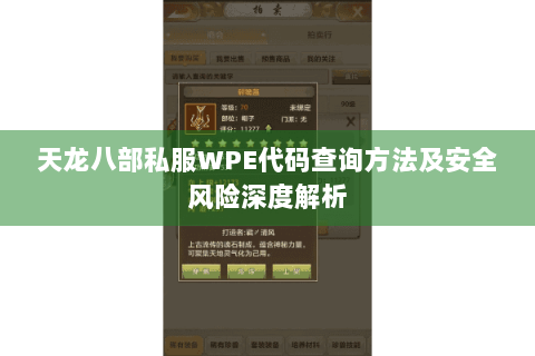 天龙八部私服WPE代码查询方法及安全风险深度解析