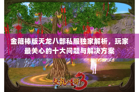 金箍棒版天龙八部私服独家解析，玩家最关心的十大问题与解决方案