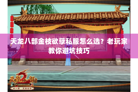 天龙八部金枝欲孽私服怎么选？老玩家教你避坑技巧