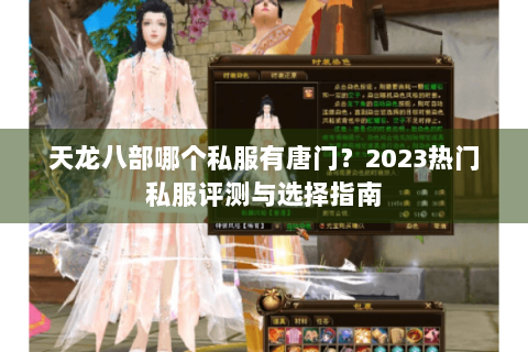 天龙八部哪个私服有唐门？2023热门私服评测与选择指南