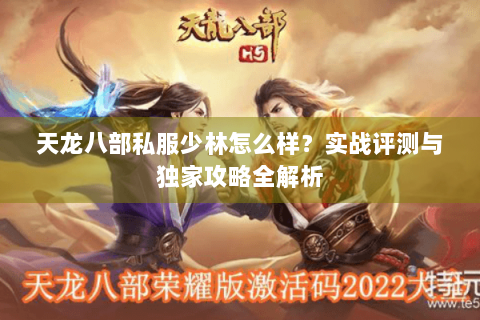 天龙八部私服少林怎么样？实战评测与独家攻略全解析