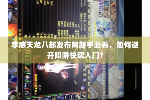 孝感天龙八部发布网新手必看，如何避开陷阱快速入门？