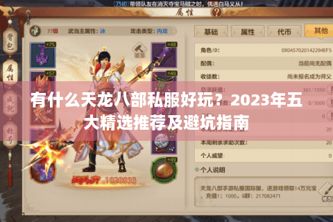 有什么天龙八部私服好玩？2023年五大精选推荐及避坑指南
