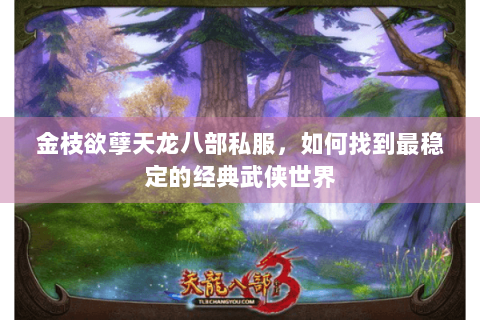 金枝欲孽天龙八部私服，如何找到最稳定的经典武侠世界